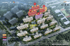 教师团队中高级教师占比